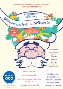 affiche 2016 « festival du Bishnoï du Grittwald »