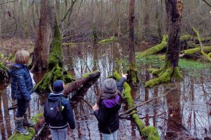 sortie du 6 janvier 2018