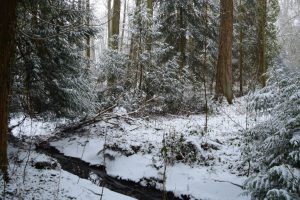 neige sur la zad