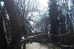 zad du moulin